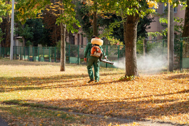 Trusted Mohave Valley, AZ Pest Control Experts